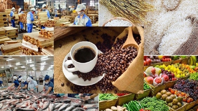 Vietnamese agricultural and food products require adjustments following EU warnings